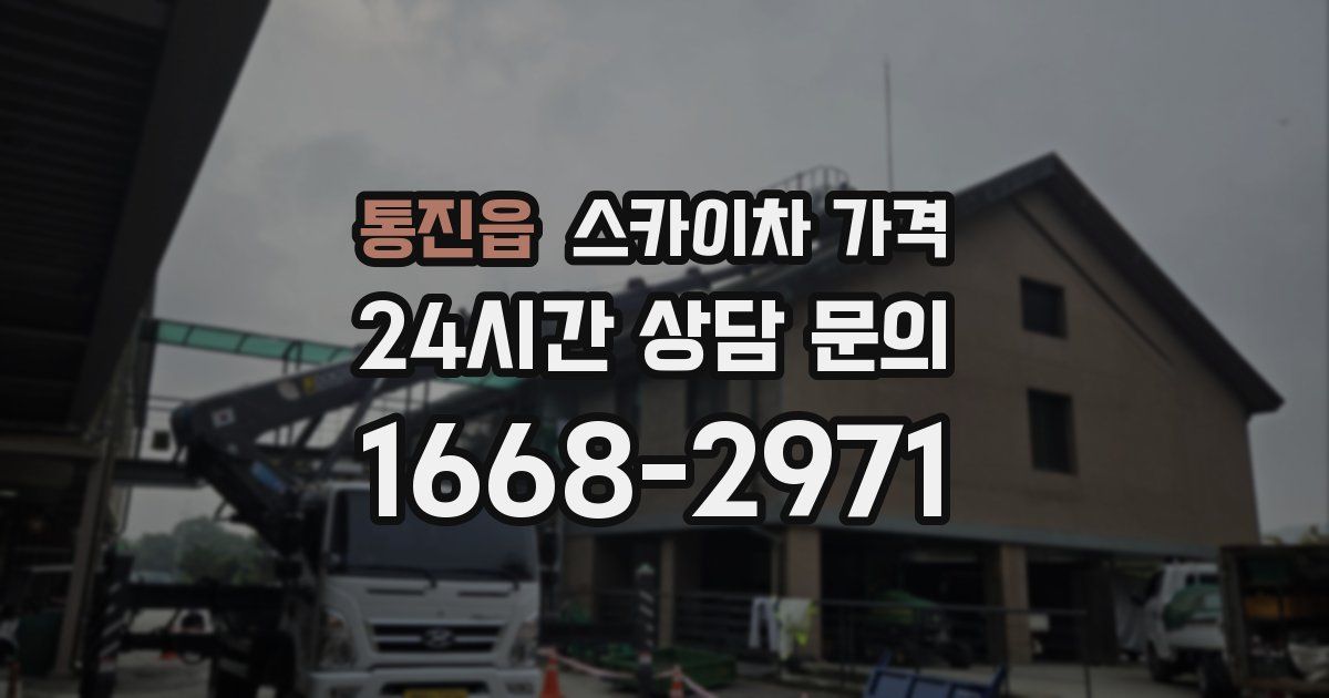 통진읍 스카이차 가격