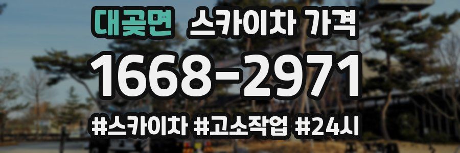 대곶면 스카이차 가격