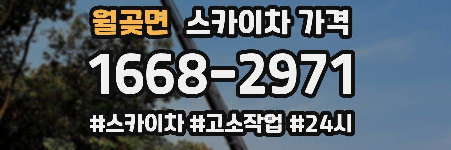 월곶면 스카이차 가격