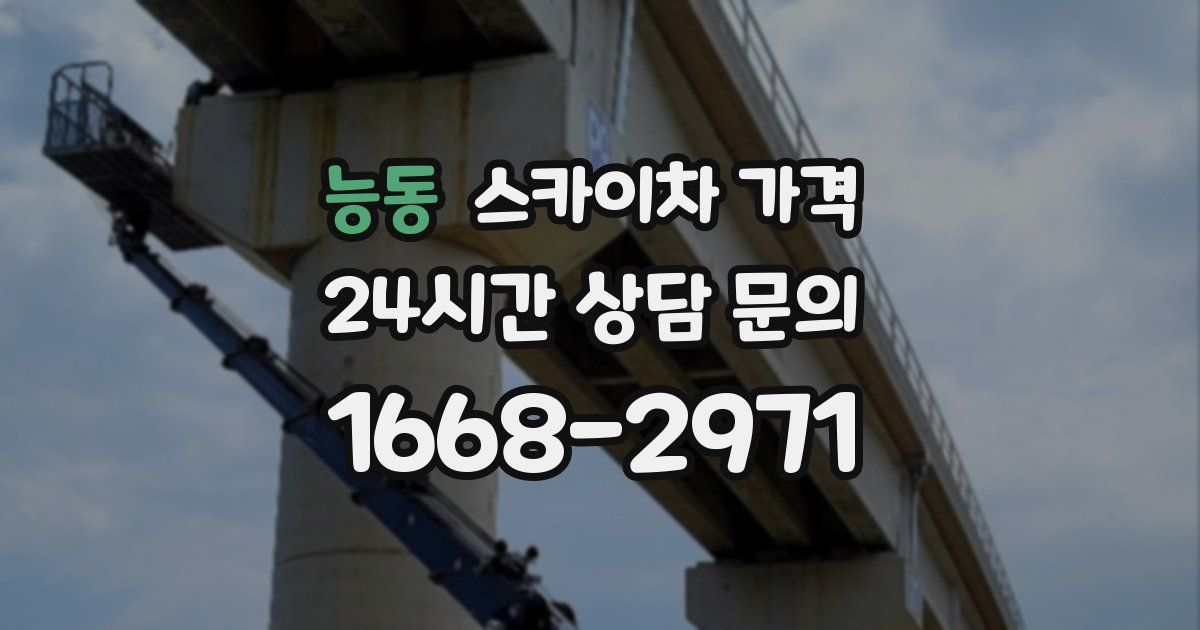 능동 스카이차 가격