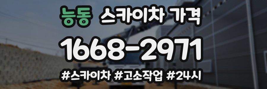 능동 스카이차 가격