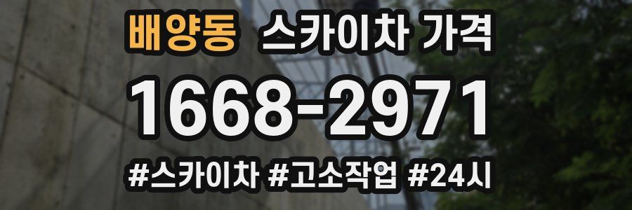 배양동 스카이차 가격