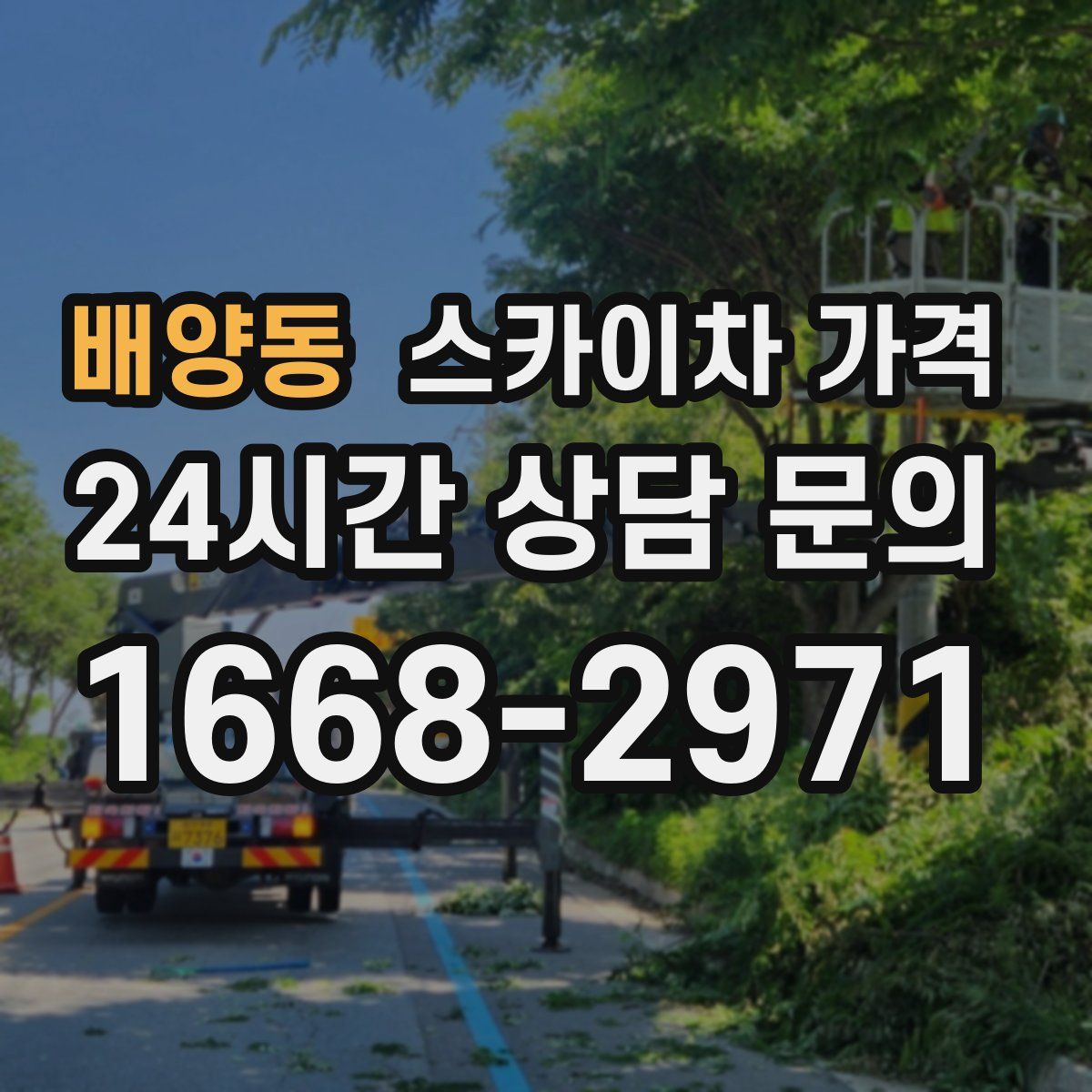 배양동 스카이차 가격