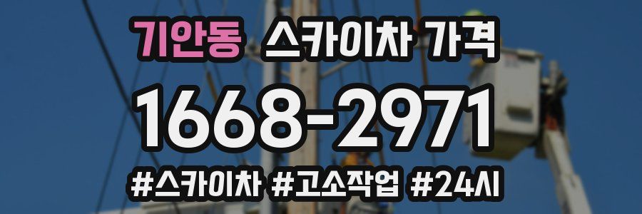 기안동 스카이차 가격