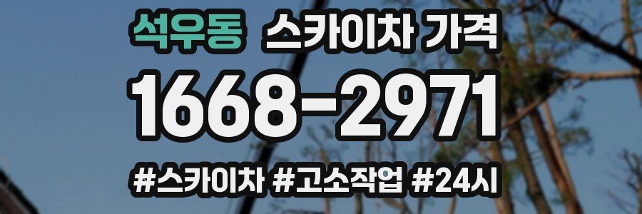 석우동 스카이차 가격