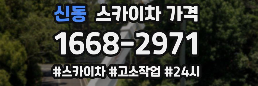 신동 스카이차 가격