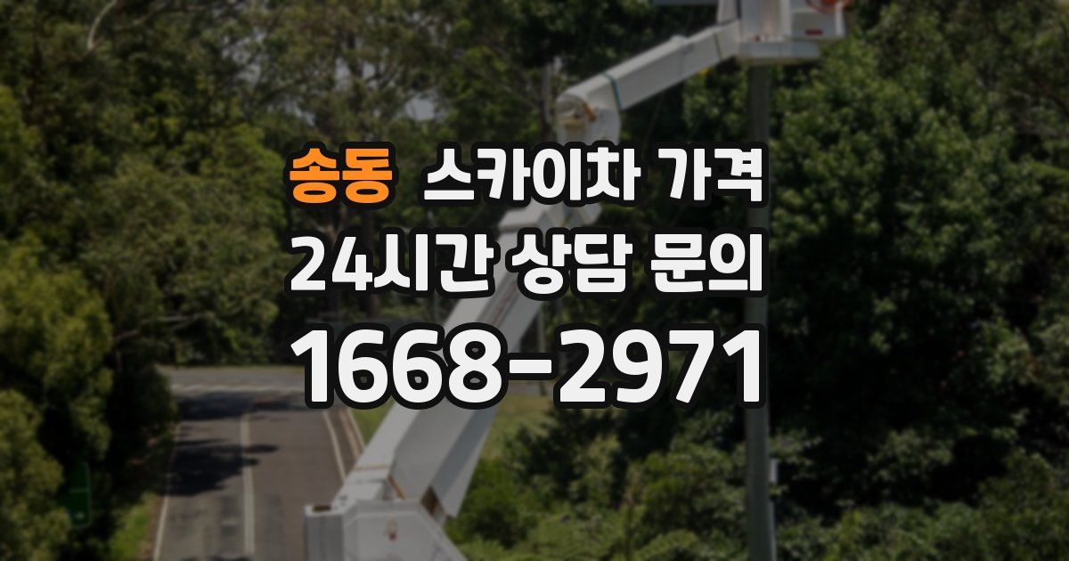 송동 스카이차 가격