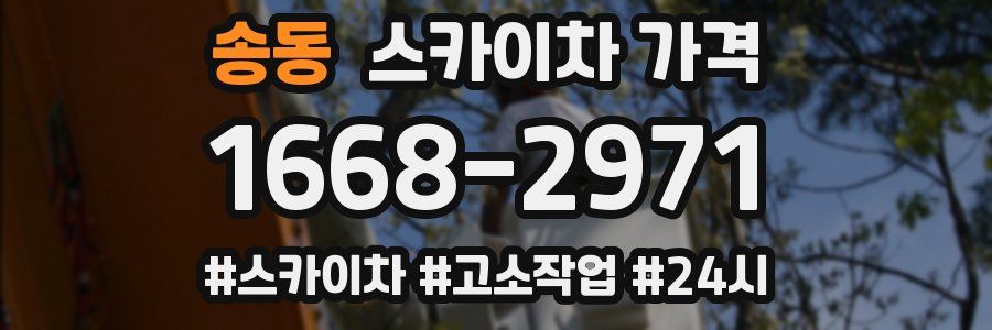 송동 스카이차 가격