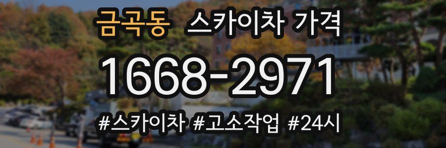 금곡동 스카이차 가격