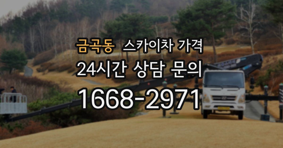 금곡동 스카이차 가격