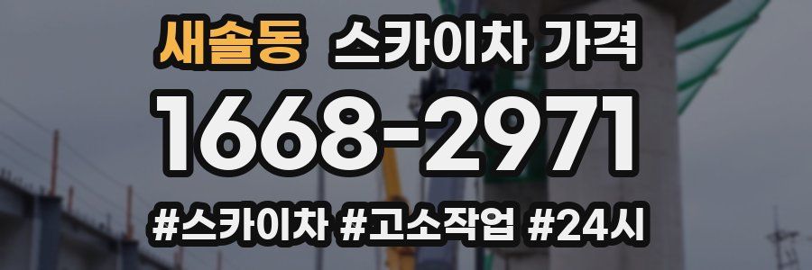 새솔동 스카이차 가격