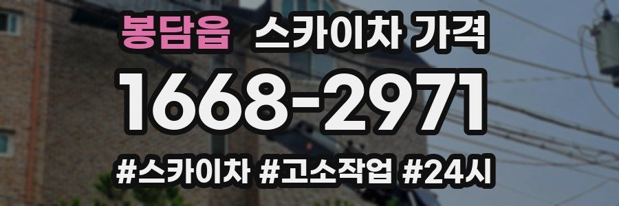 봉담읍 스카이차 가격