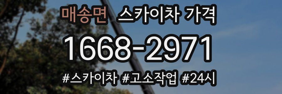 매송면 스카이차 가격