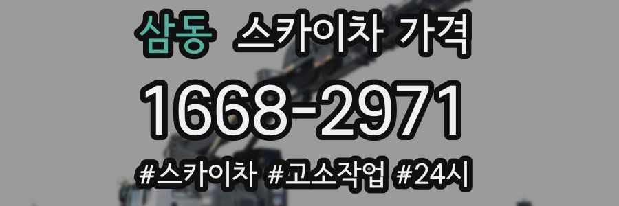 삼동 스카이차 가격