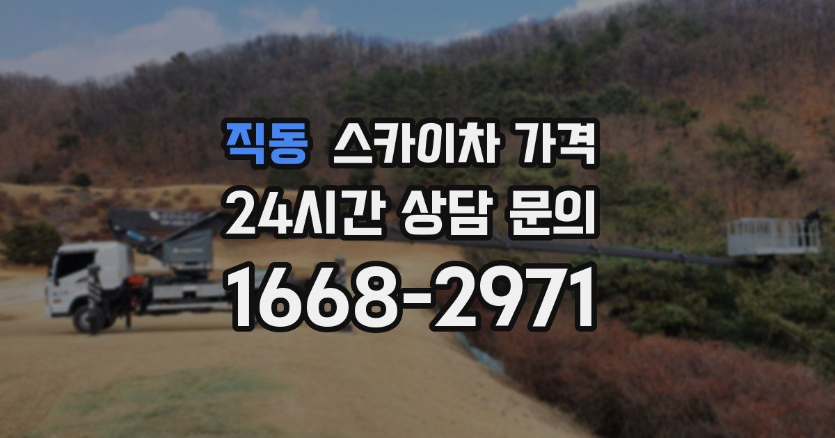 직동 스카이차 가격