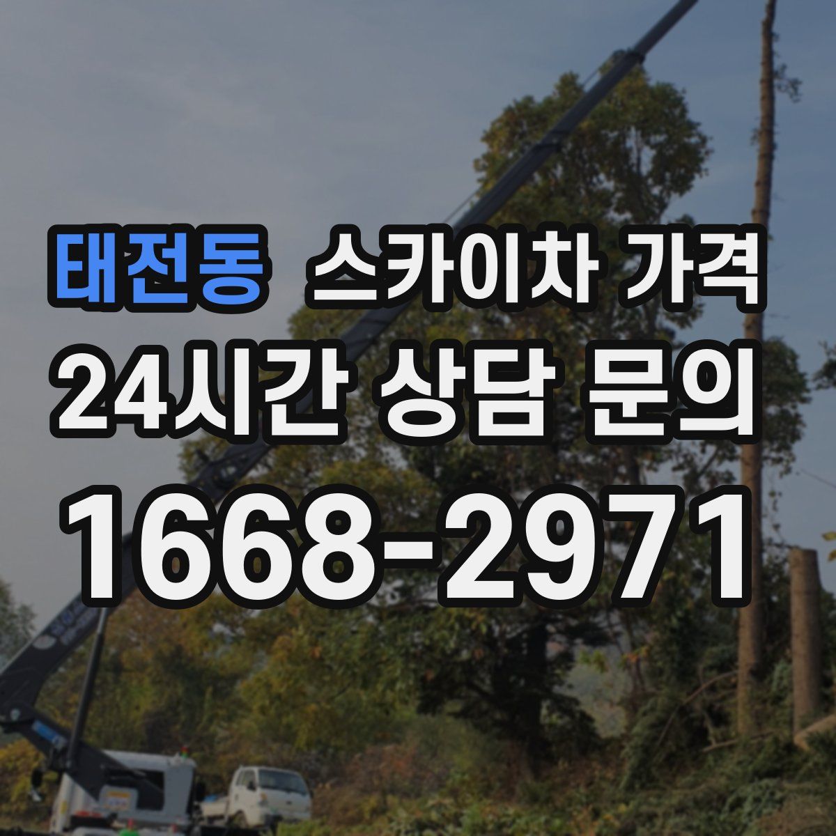 태전동 스카이차 가격