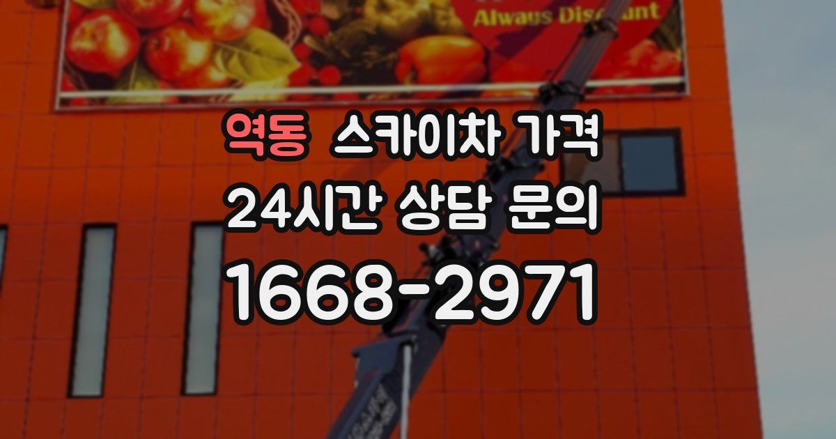 역동 스카이차 가격