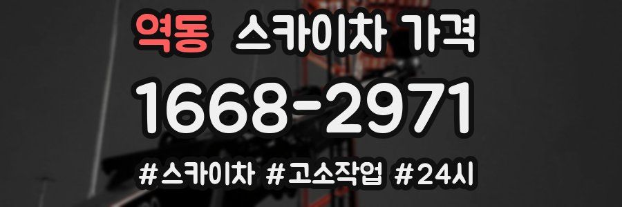 역동 스카이차 가격