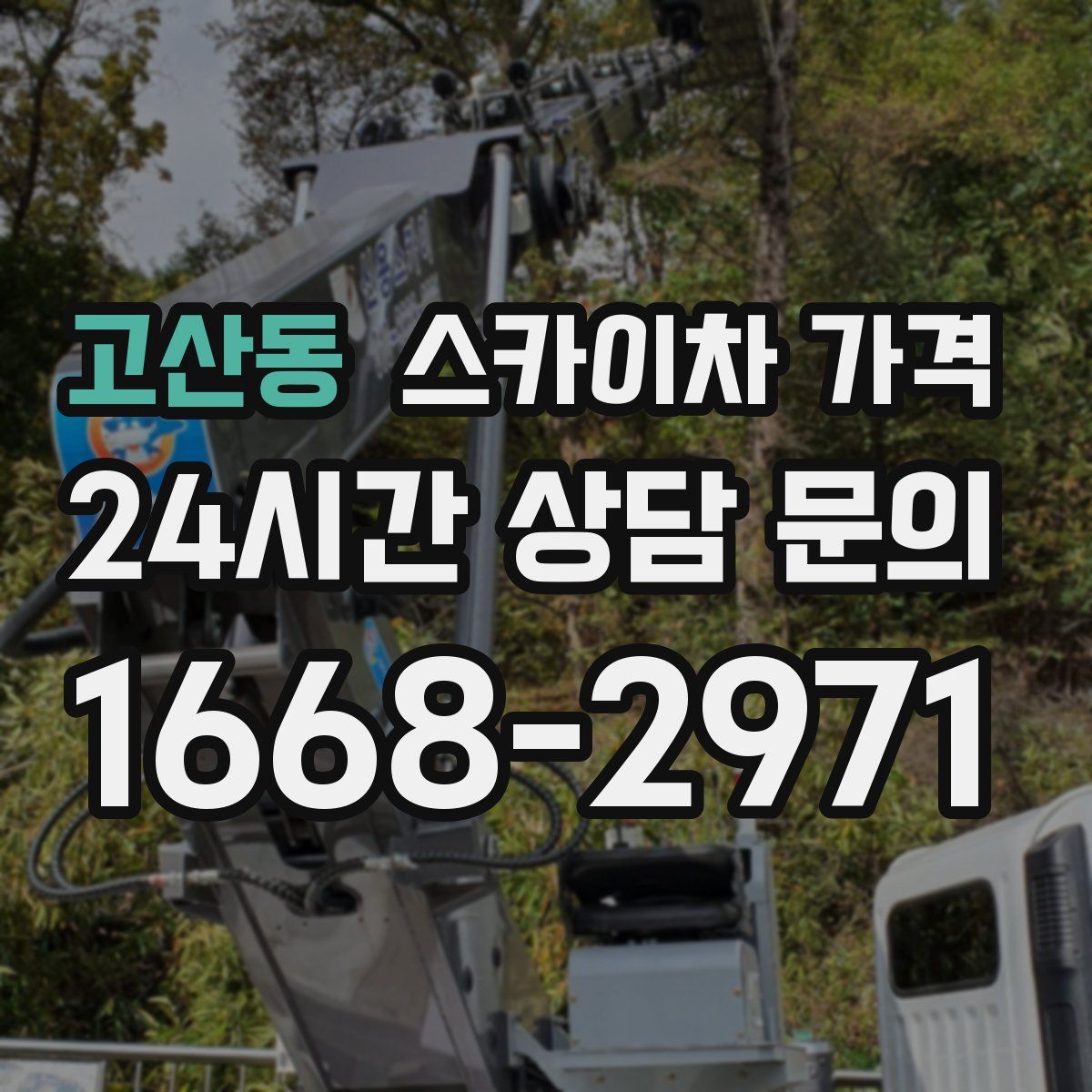 고산동 스카이차 가격