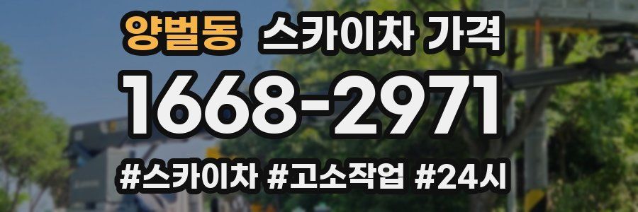 양벌동 스카이차 가격