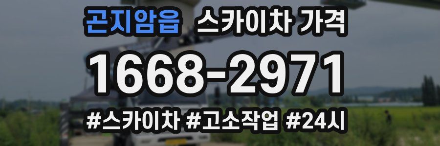 곤지암읍 스카이차 가격