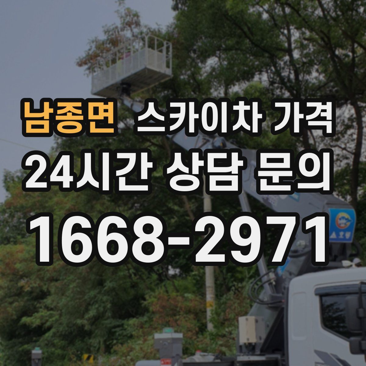 남종면 스카이차 가격