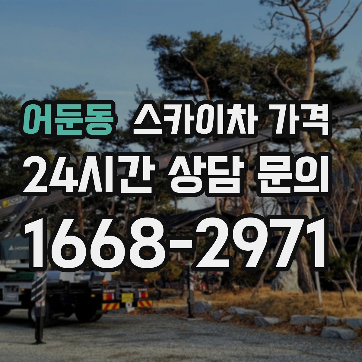 어둔동 스카이차 가격