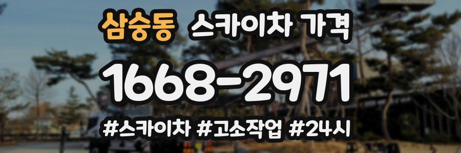 삼숭동 스카이차 가격