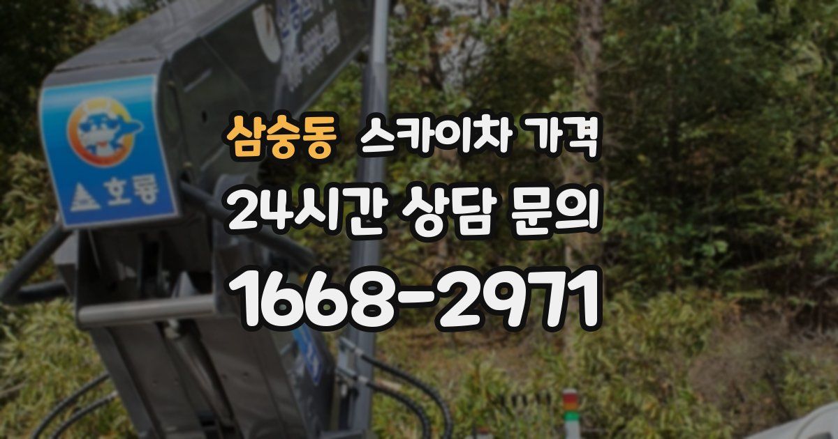 삼숭동 스카이차 가격