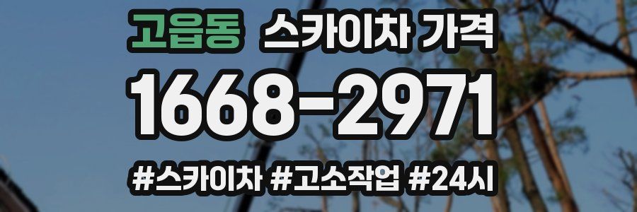 고읍동 스카이차 가격