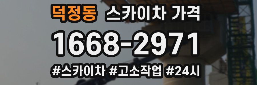 덕정동 스카이차 가격