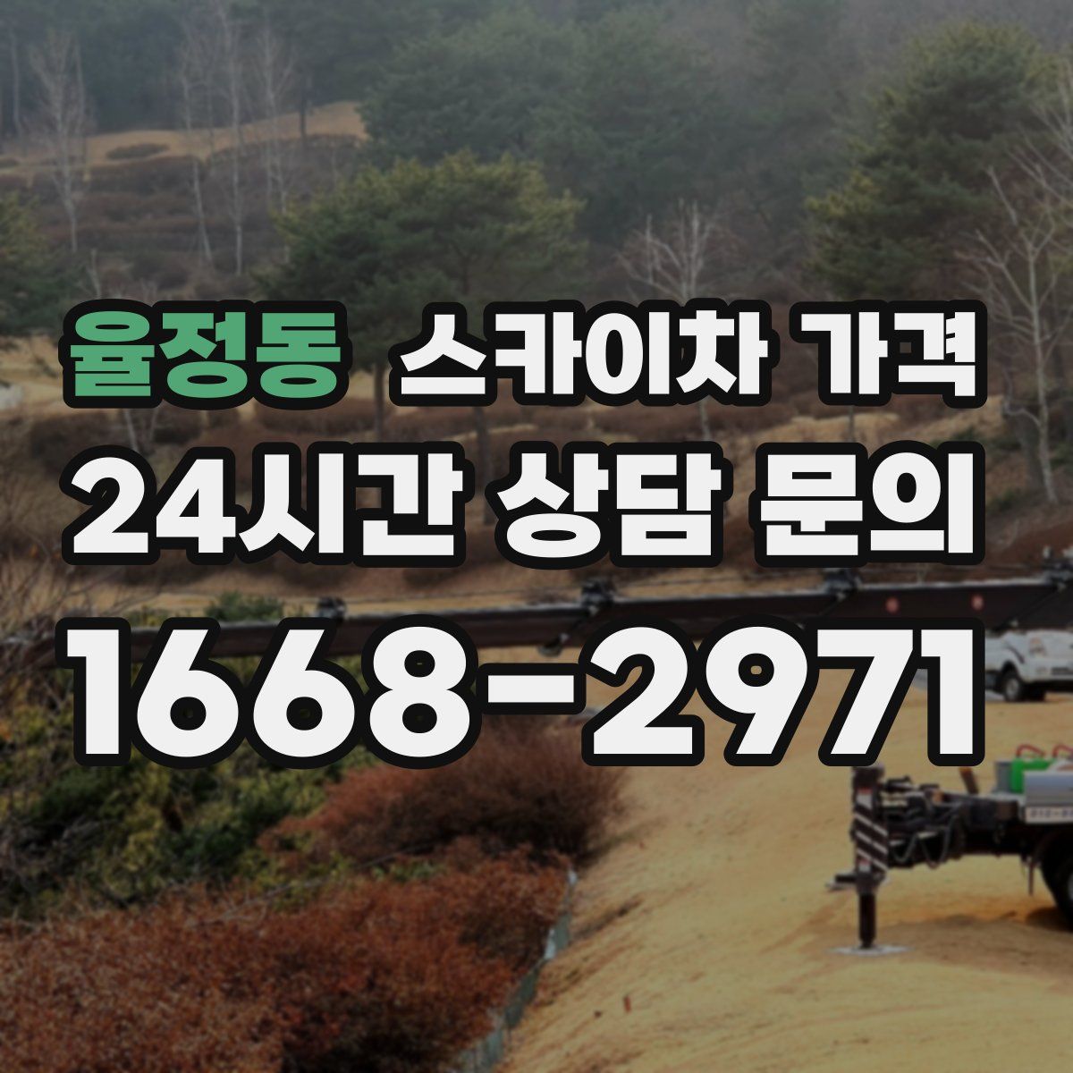 율정동 스카이차 가격