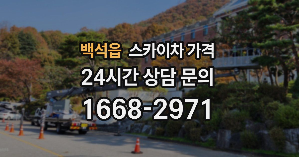 백석읍 스카이차 가격