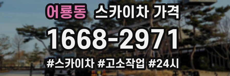 어룡동 스카이차 가격