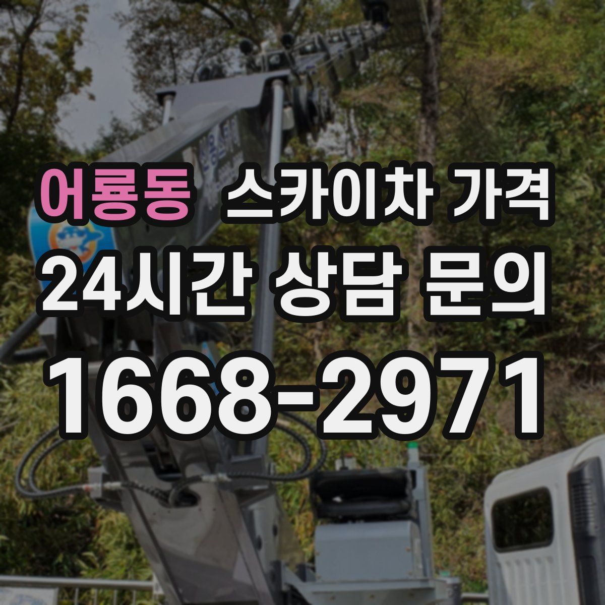 어룡동 스카이차 가격