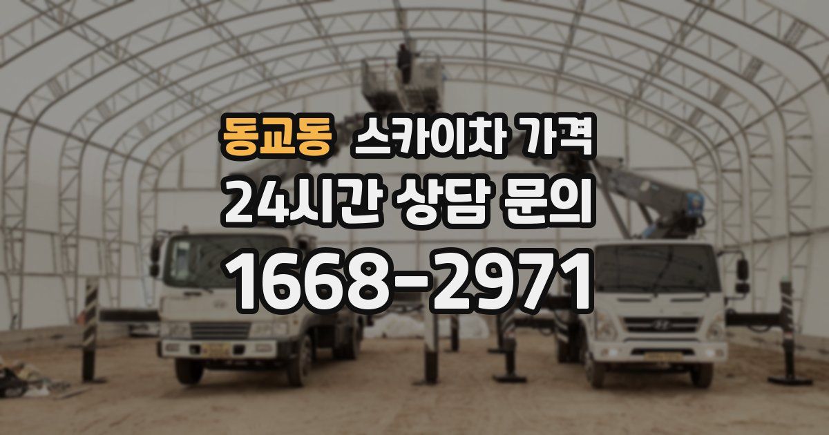 동교동 스카이차 가격