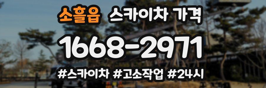 소흘읍 스카이차 가격