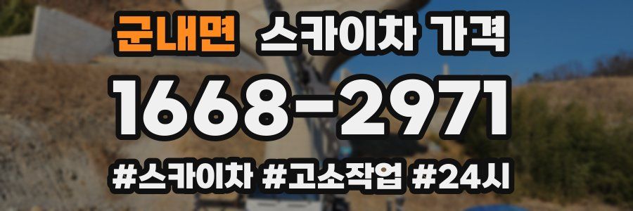 군내면 스카이차 가격