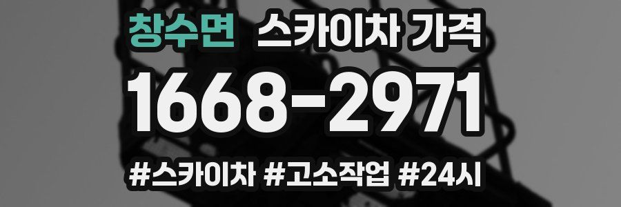 창수면 스카이차 가격