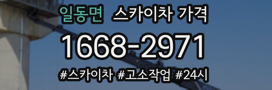 일동면 스카이차 가격