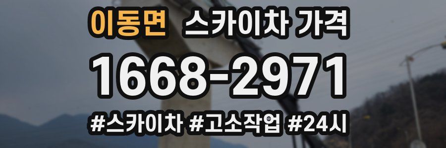 이동면 스카이차 가격