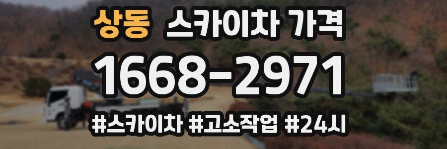 상동 스카이차 가격