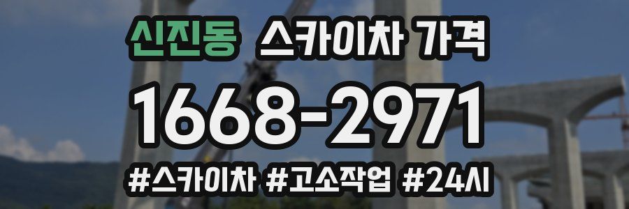 신진동 스카이차 가격