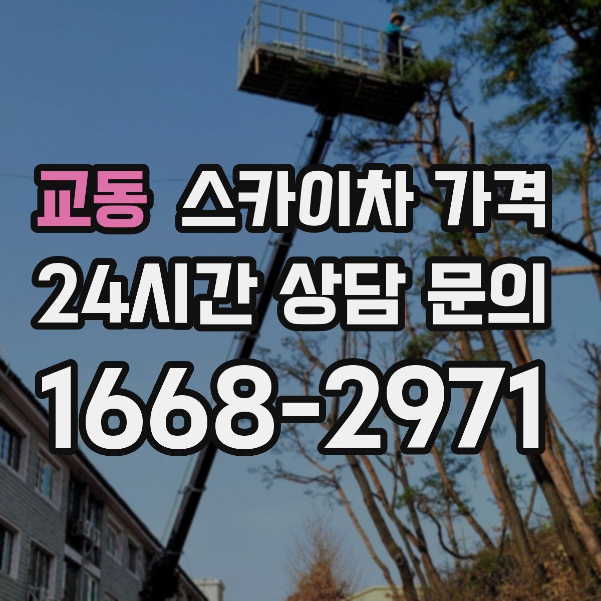 교동 스카이차 가격