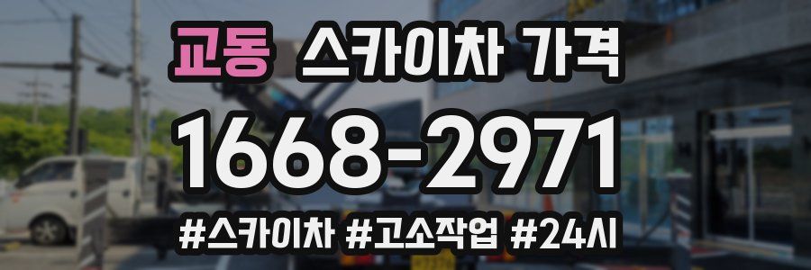 교동 스카이차 가격