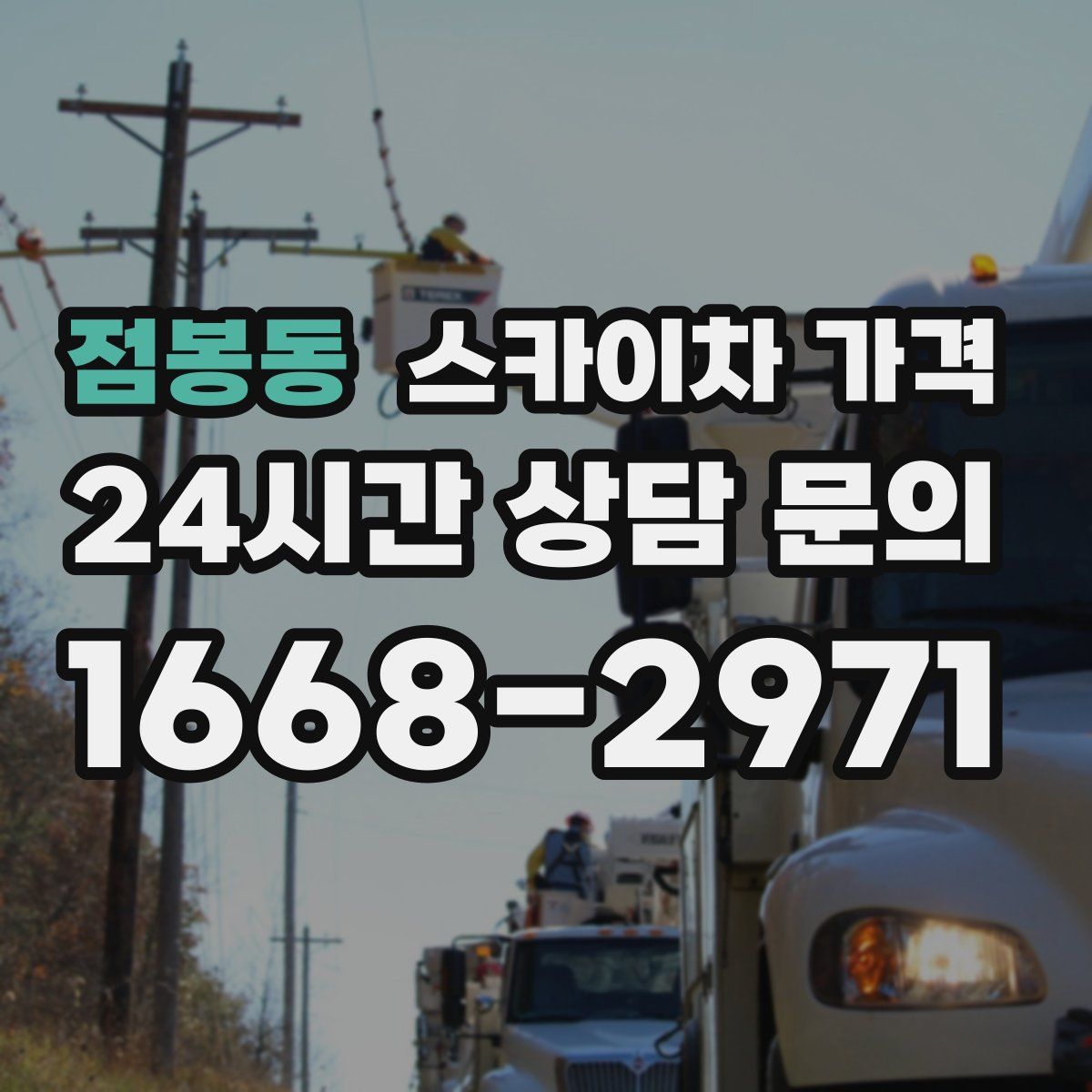 점봉동 스카이차 가격