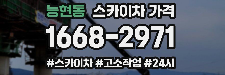 능현동 스카이차 가격