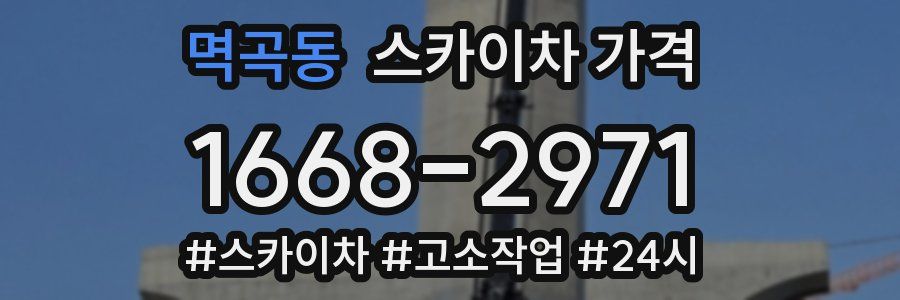 멱곡동 스카이차 가격