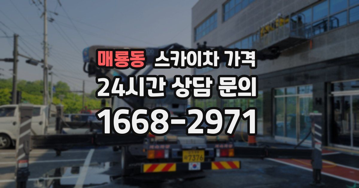 매룡동 스카이차 가격