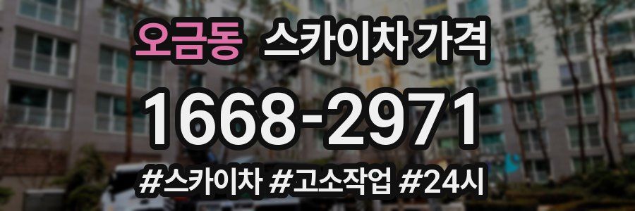 오금동 스카이차 가격